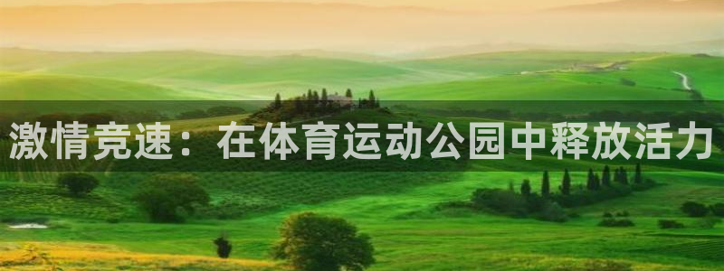 米兰体育官网下载招商电话号码查询:激情竞速:在体育运动公园中