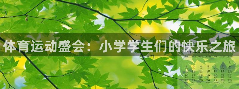 米兰体育官方正版app神州:体育运动盛会:小学学生们的快乐之